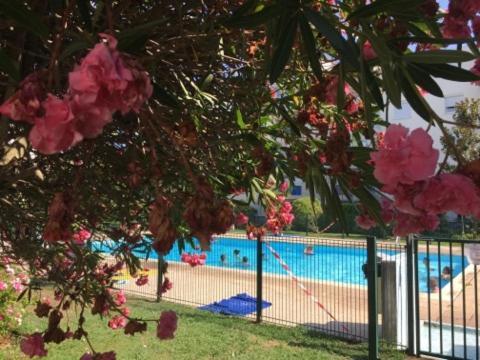 Lesjardinsfleuris Apartamento Mandelieu Exterior foto